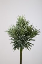 Kunstplant - Succulent - vetplant - topkwaliteit decoratie - 2 stuks - zijden bos- Grijs -  cm hoog