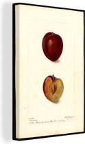 Tableau sur toile Prunes - Tableau de Deborah Griscom Passmore - 120x180 cm - Décoration murale XXL