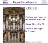 Hans Juergen Kaiser - Organ Works 3 (CD)