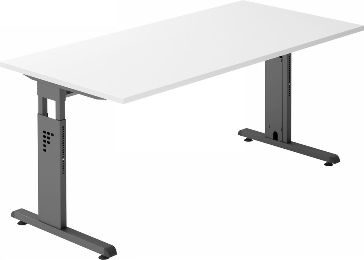 MEGA 16 D Esdoorn
