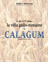 L'an 117 dans la villa gallo-romaine de Calagum