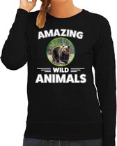 Sweater beer - zwart - dames - amazing wild animals - cadeau trui beer / beren liefhebber M