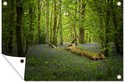 PDP.ProductImage.Thumb.Image.srtText 15