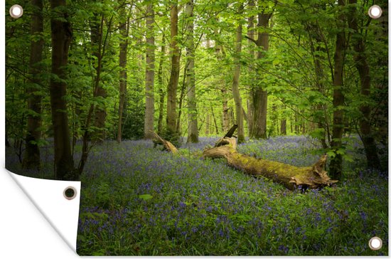Décoration murale Fleurs - Forêt - Blauw - 180x120 cm - Poster jardin - Toile jardin - Poster extérieur