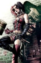 Batman Harley Quinn Pose - Maxi Poster