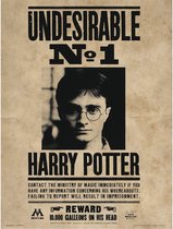 Harry Potter: Undesirable nº1 30X40cm Art Print