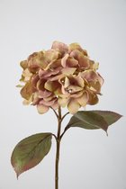 Kunstbloem - Datura - botanisch - topkwaliteit decoratie - 2 stuks - zijden bloem - goud - 130 cm hoog
