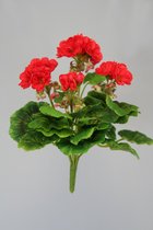 Kunstbloem - geranium- topkwaliteit bosbloemen - kamerplant - rood - 26 cm hoog