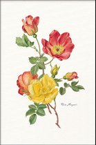 Walljar - Rosa Moyesii - Muurdecoratie - Poster met lijst