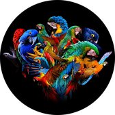 Glasschilderij - papegaaien - 100x100 cm - Wanddecoratie