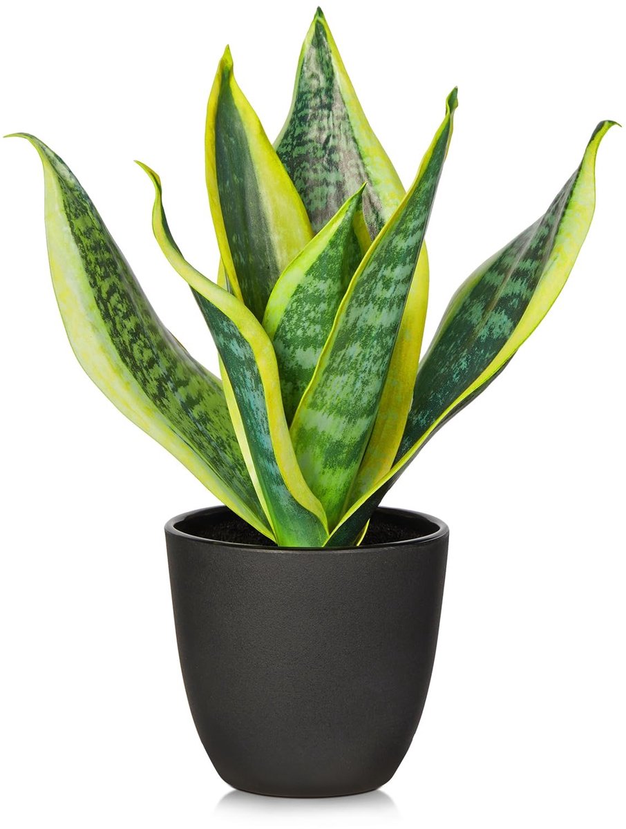Omgoods - Kunsthennepplanten 28 cm in pot - Decoratieve kamerplanten