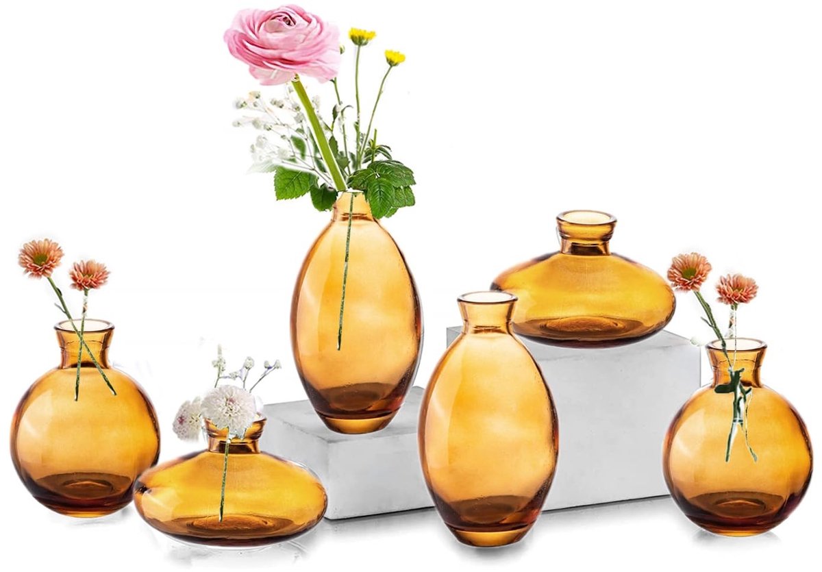 Omgoods - Set van 6 Amber Glazen Vazen voor Bloemstukken en Decoratie
