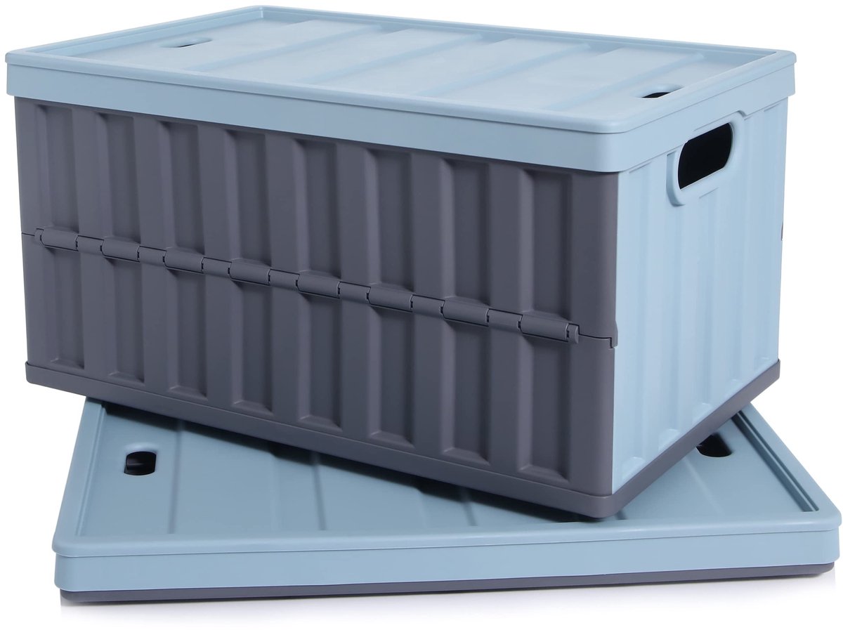 Omgoods - Set van 2 Vouwbare Opbergdozen 64L met Deksel