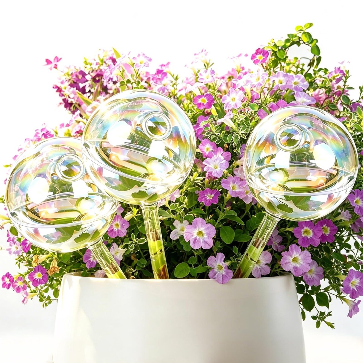 Omgoods - Set van 3 zelfbewaterende glassballen voor planten