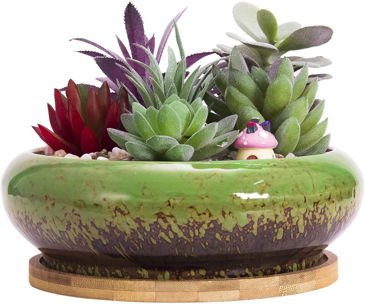 Omgoods - Grote Bonsai Pot met Schotel voor Succulenten en Cactussen