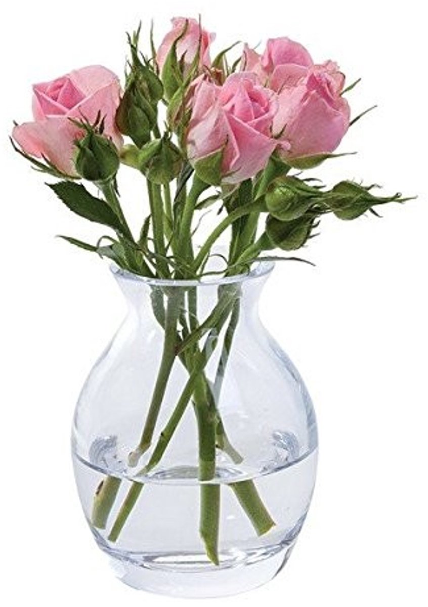 Omgoods - Handgemaakte Bloemenvase van Helder Glas