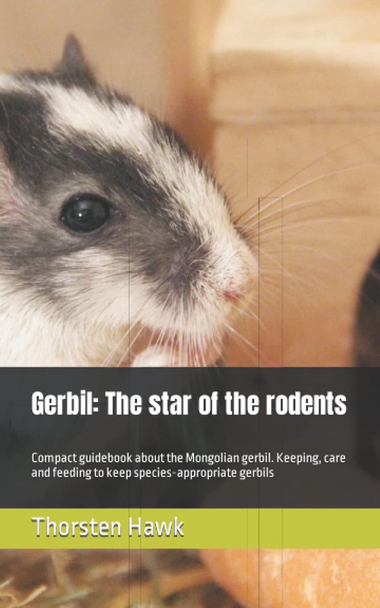 The star of the rodents: Compact guidebook about the Mongolian gerbil. Keeping, care and feeding to keep species-appropriate gerbils