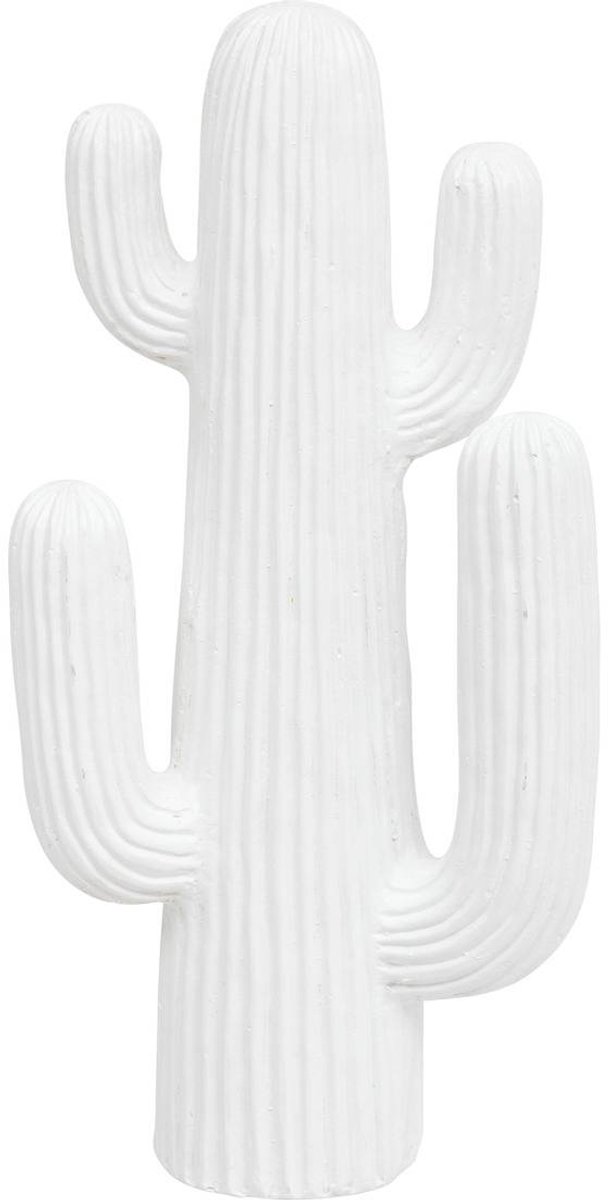 Decoratieve cactus RODRIGO
