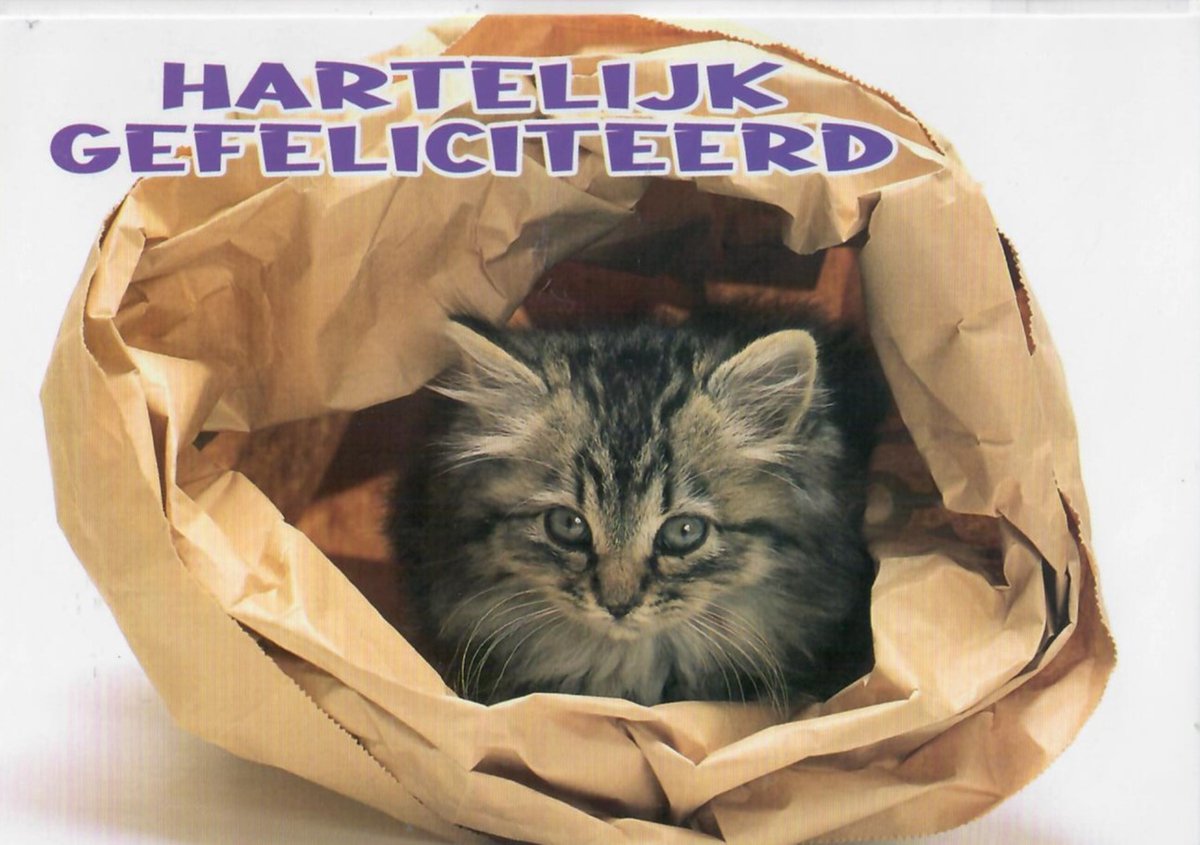 Verjaardagskaart dier | Wenskaart | 10 stuks | Hartelijk gefeliciteerd