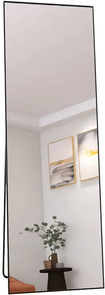 Vloerspiegel 165 X 60 Cm Zwart - met Metalen Frame - voor Woonkamer
