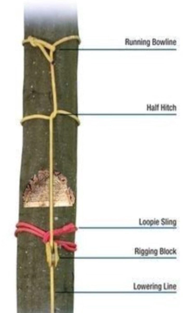Rigging Notebook