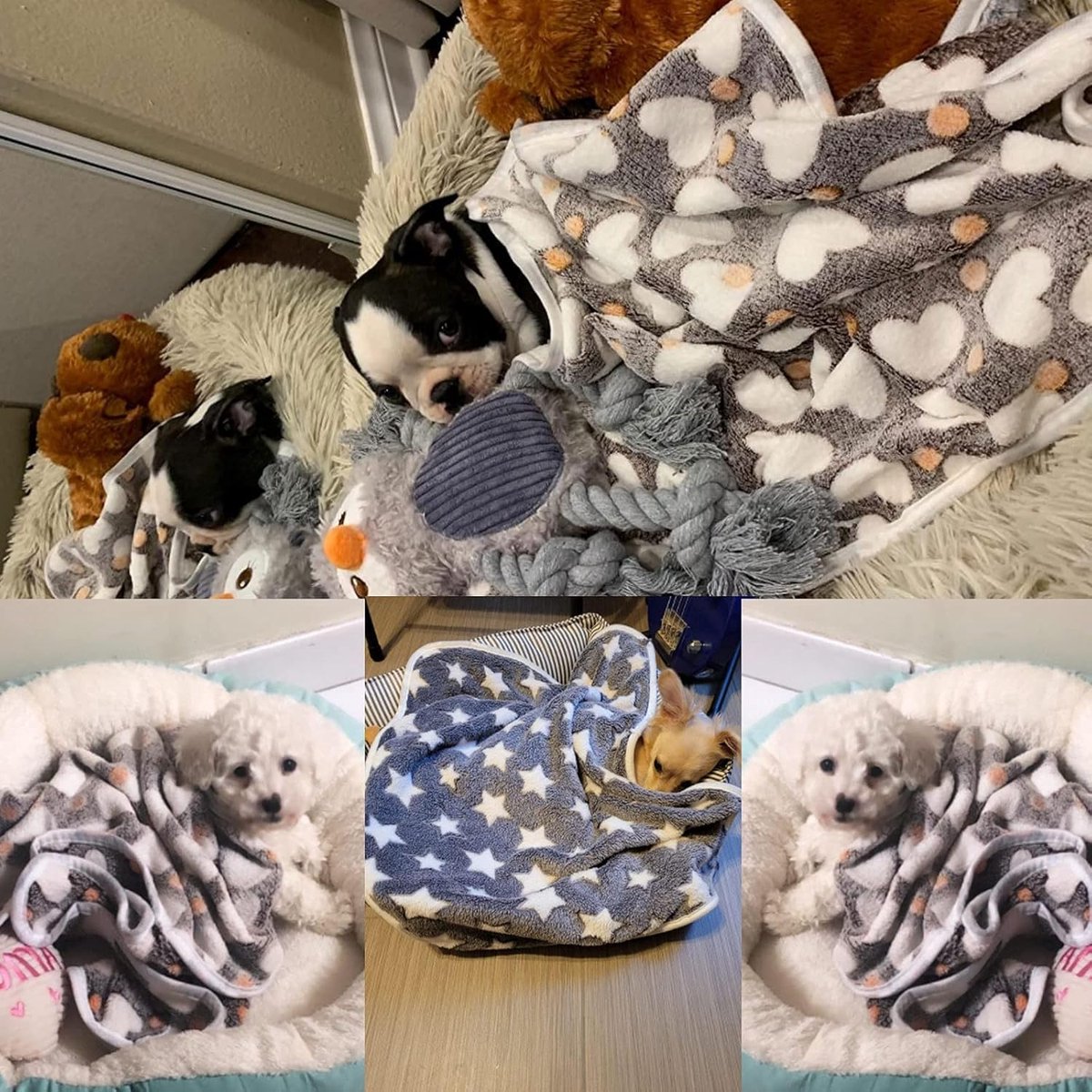 Dog Blanket Fluffy 3 Pieces, Cuddly Blanket, Cat Blanket, 60 x 40 cm, Dog Blanket for Travel, Cat Blanket for Small - ShopVlot