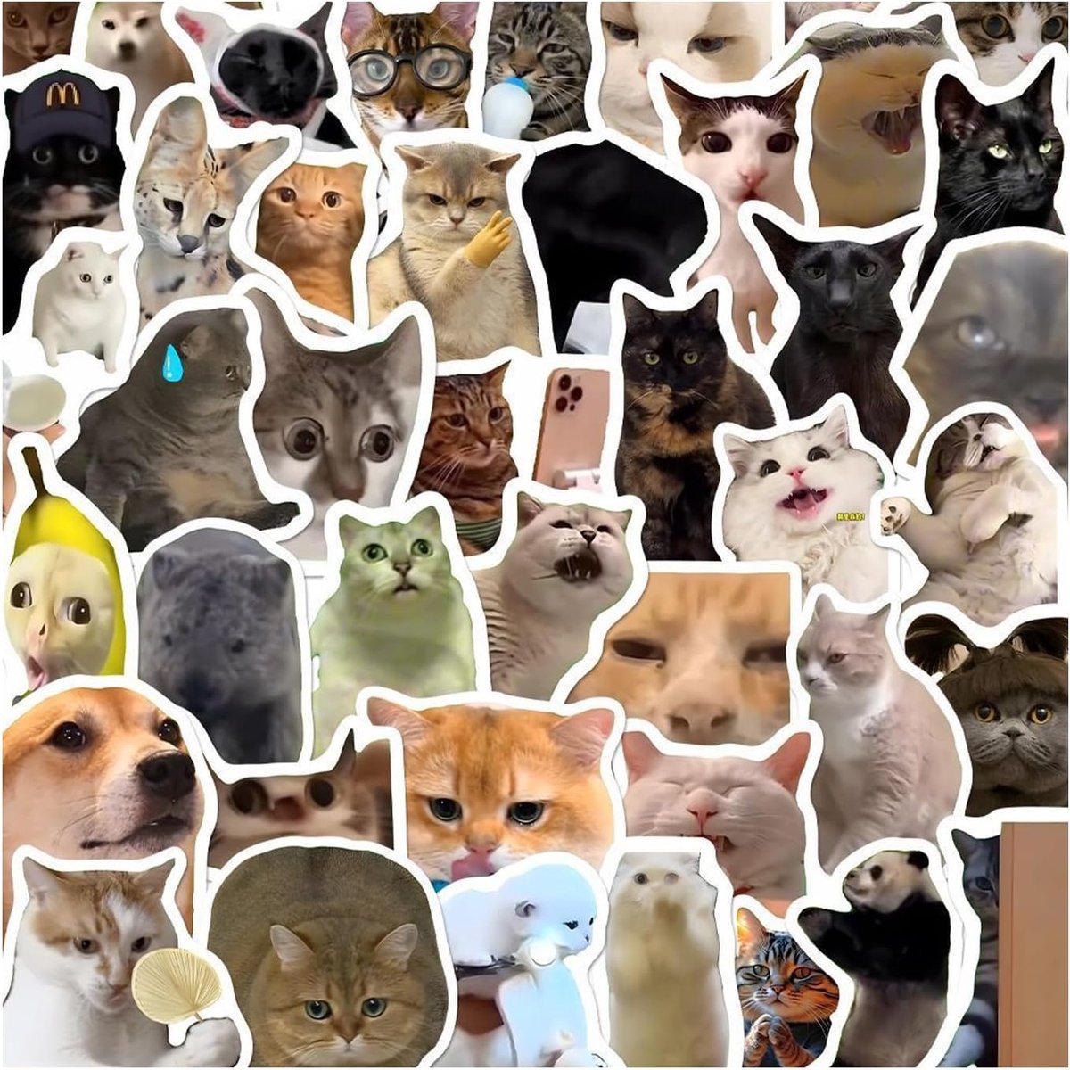 Kattenstickers, 100 stuks grappige kattenmemes, zelfklevend, waterdicht, vinyl, schattige kattenstickers - ShopVlot