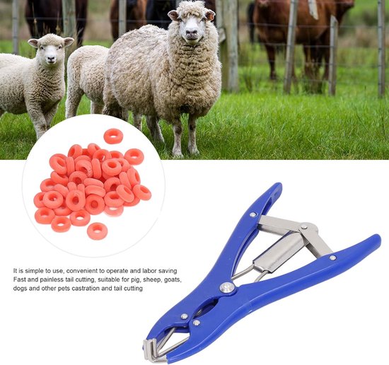 Castration Pliers With 100Pcs Red Castrator Rubber Rings Tail Docking Clamp Castration Pliers Ring Applicator Kit - ShopVlot — afbeelding 5