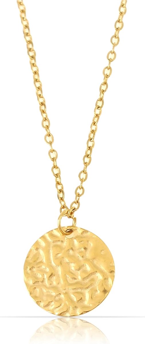 Gouden munt hangerketting dames - gehard roestvrij staal - 40+5 cm verstelbaar - stijlvol accessoire - ShopVlot