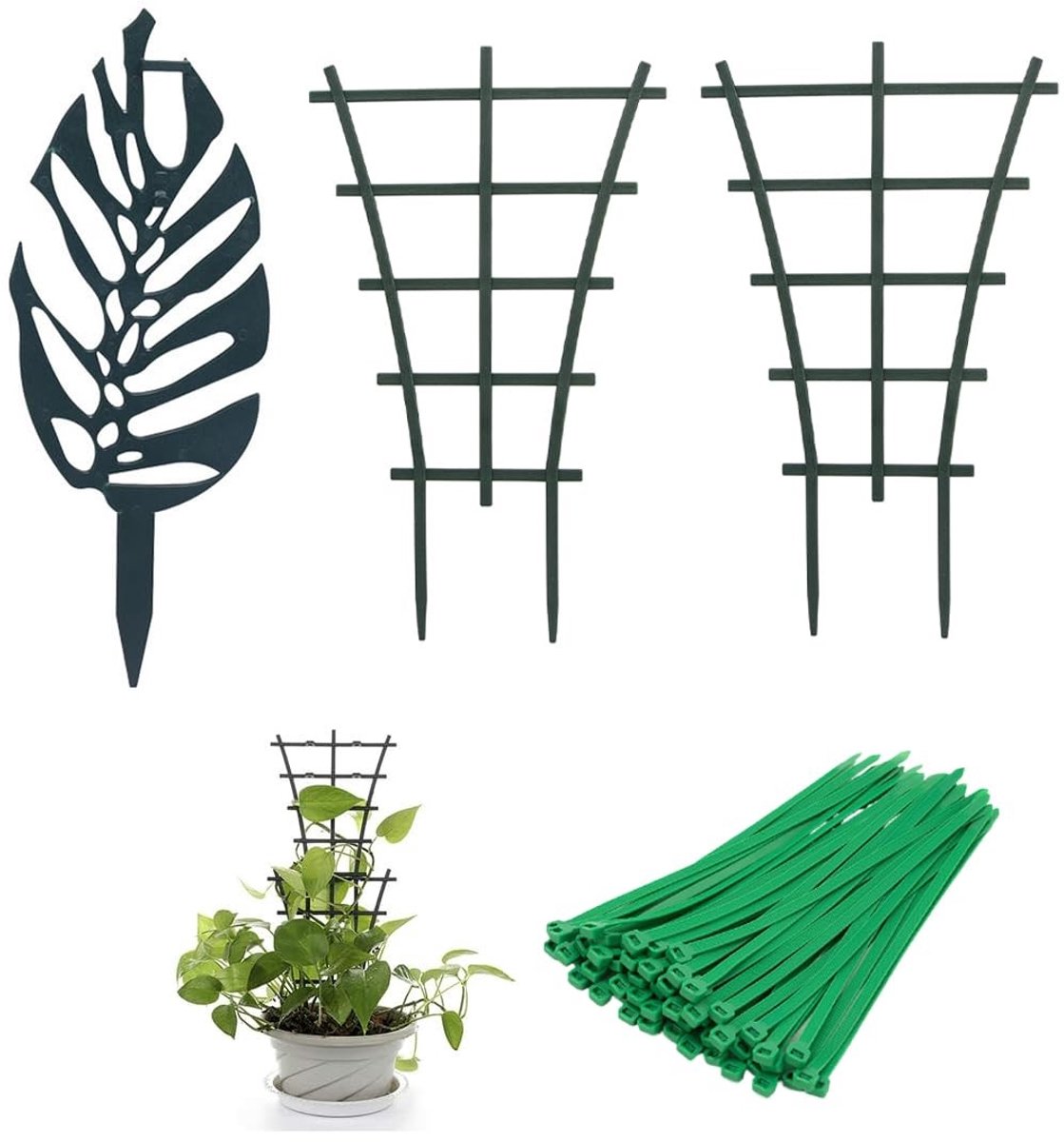 Solidchoice - 3 Plantsteunen en 10 Bindbandjes voor Klimplanten