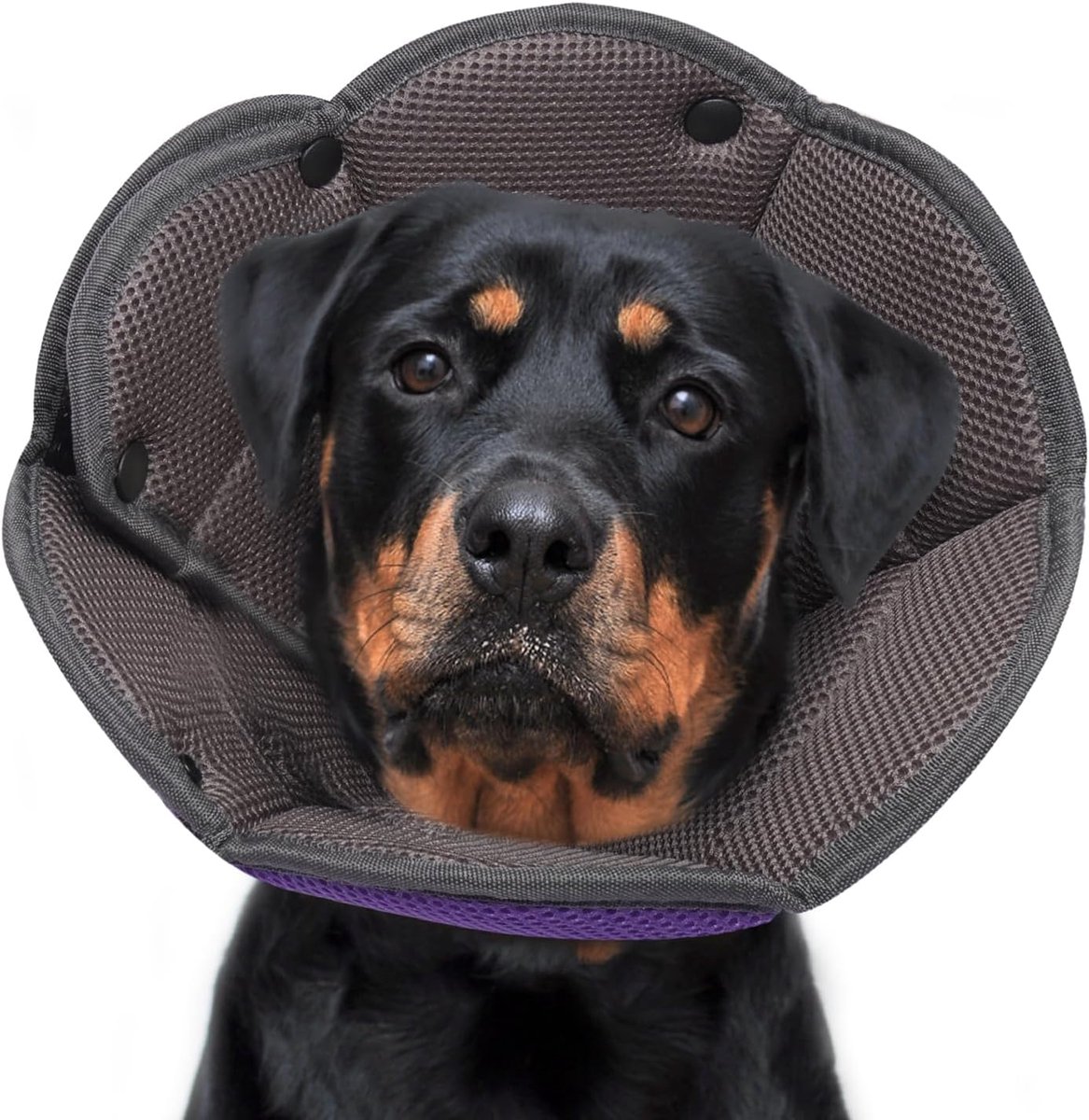 Collar for Dog Collar Cat Protective Collar Dog Breathable Dog Collar for Small, Medium Large Dogs, Adjustable Dog - ShopVlot