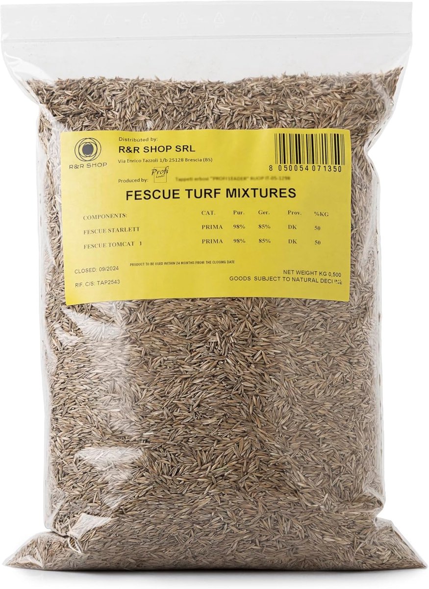R&R SHOP - Lawn seeds, Festuca Arundinacea, resistant and durable (500g - 20mq) - ShopVlot