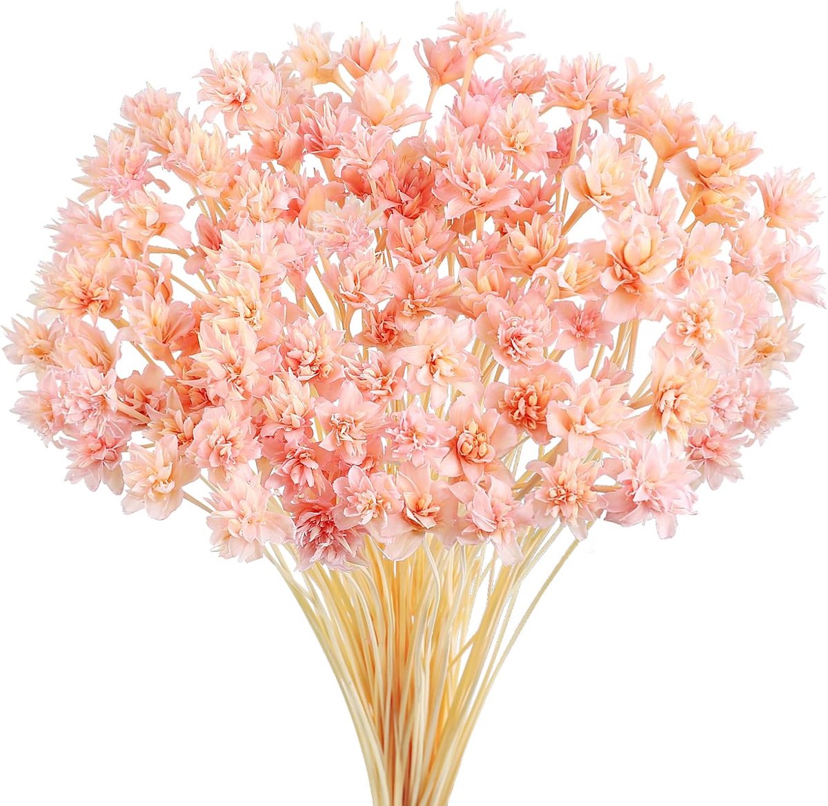 100 Pieces Dried Flowers, Brazilian Mountain Flowers, Mini Dried Flowers, Daisies, Mini Chamomile, Bouquet for Flower - ShopVlot