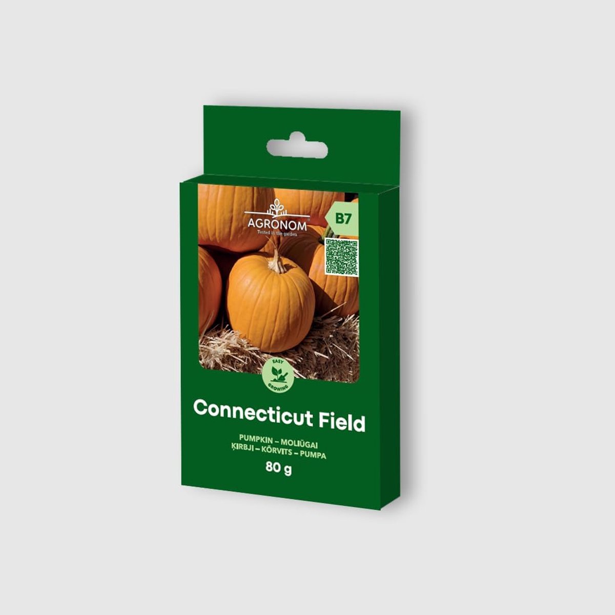 Lucia Elite - PUMPKIN – CONNECTICUT FIELD seeds - Vegetable seeds - Plant seeds - Medium yielding variety - ShopVlot