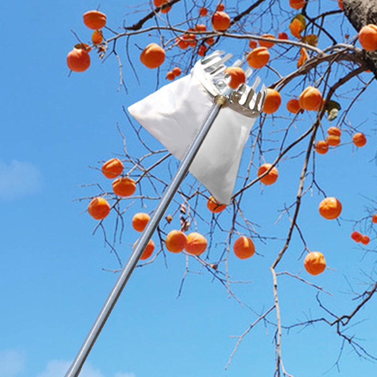 Fruitplukstok - Fruitplukker - Fruit Oogsten - Telescopische steel - 4 meter - Zilver
