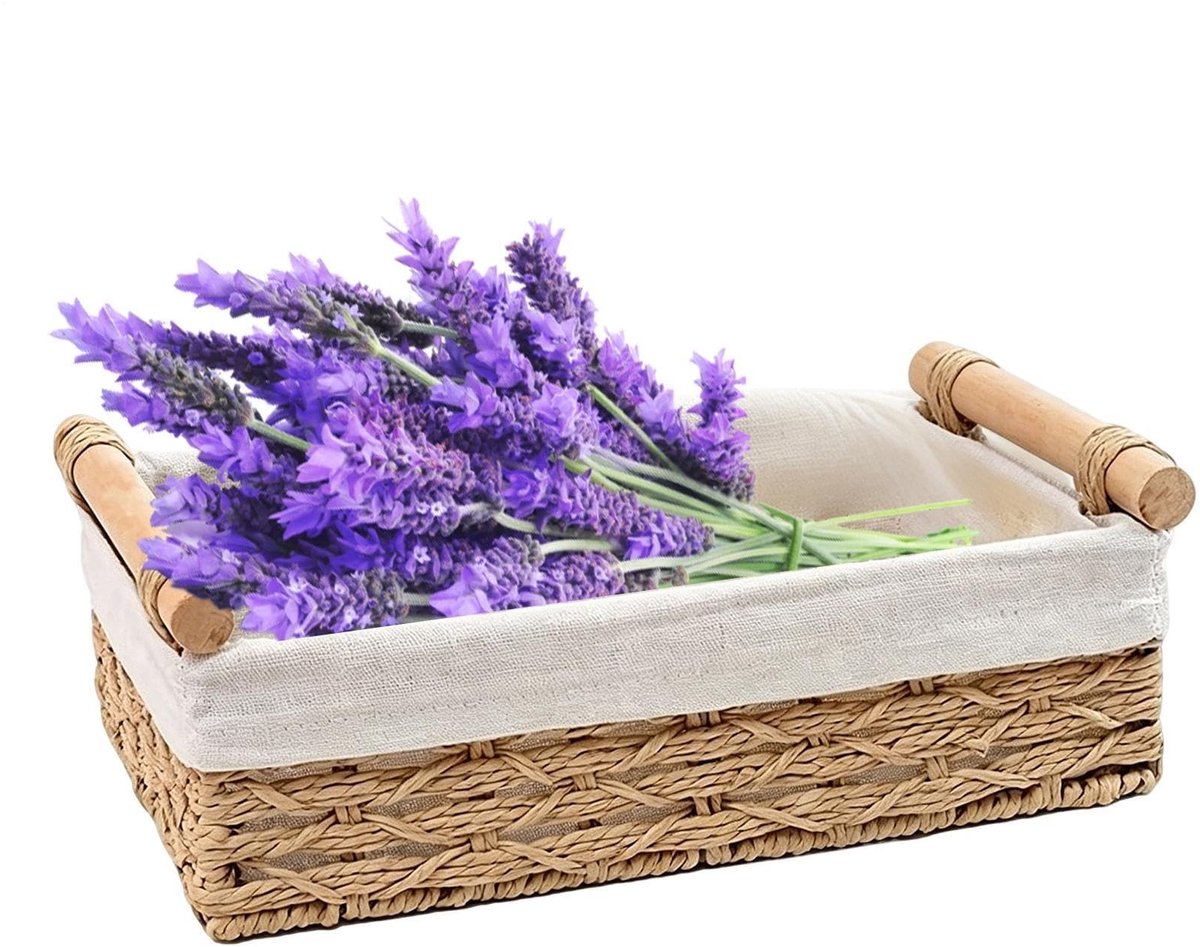 Dailygoods - Gevlochten Mand - Opbergbak met Handgrepen voor Organisatie