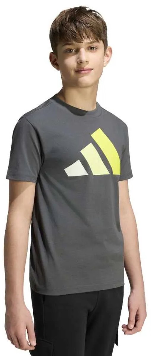 Adidas Essentials T-shirt Met Korte Mouwen 15-16 Years Kinderen Grijs