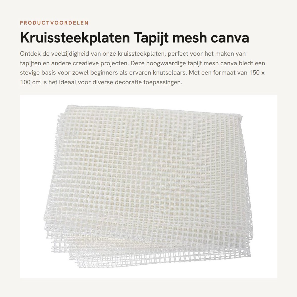 Dailygoods- Kruissteekplaten 150 x 100 cm - Tapijt Haaknet - DIY Stof - Kunststof - Duurzaam - Geschikt voor Onderzetters/Kussens