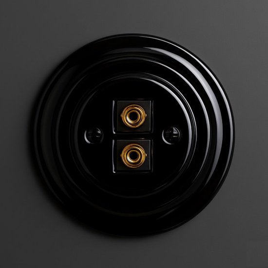 Recessed porcelain retro speaker box, 2-gang, All-in-One, series PR1 black - ShopVlot — afbeelding 3