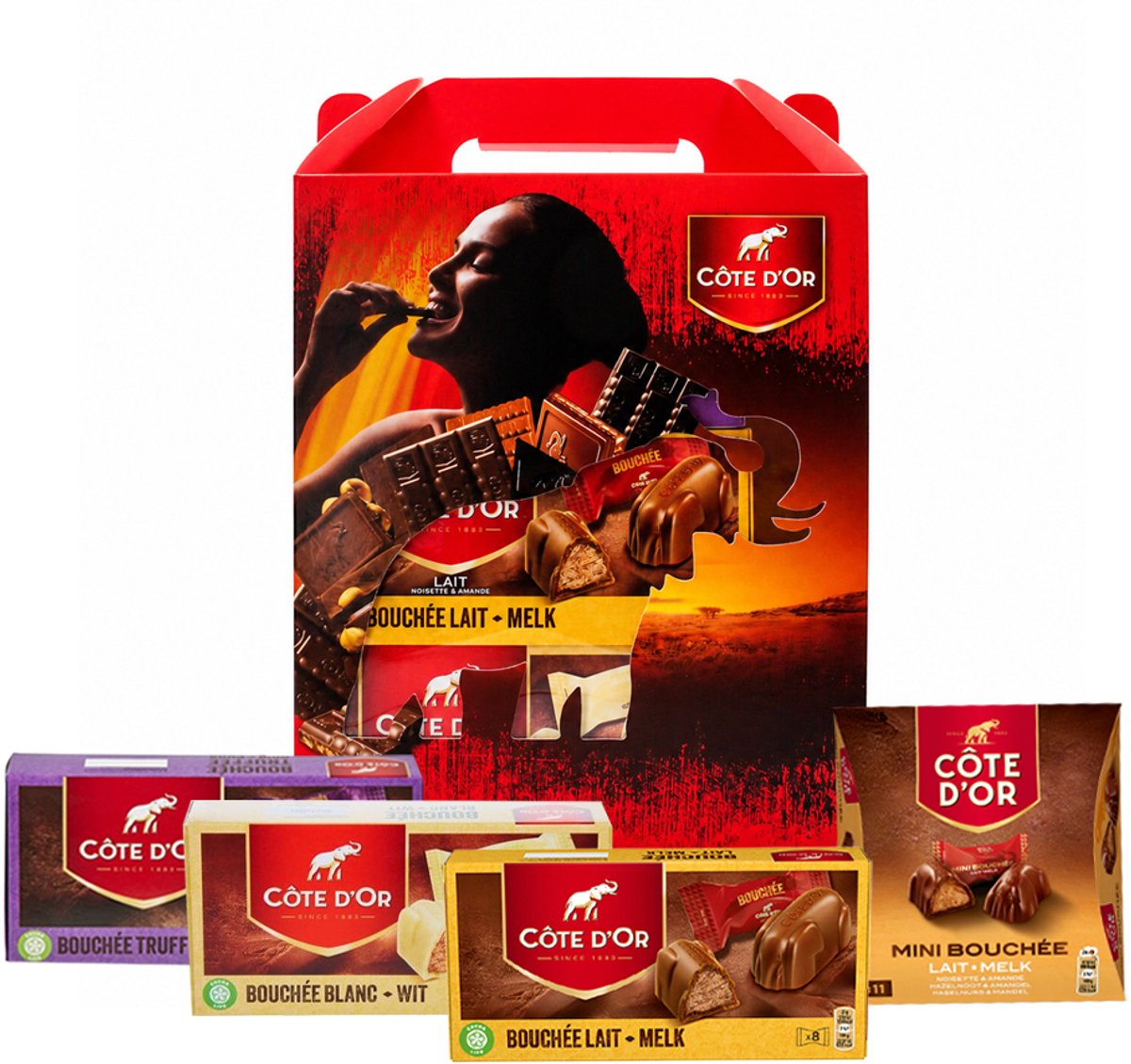 Côte d'Or chocolade giftbox 1254g - Bouchée Mix - mix van individueel verpakte chocolade - chocolade cadeau