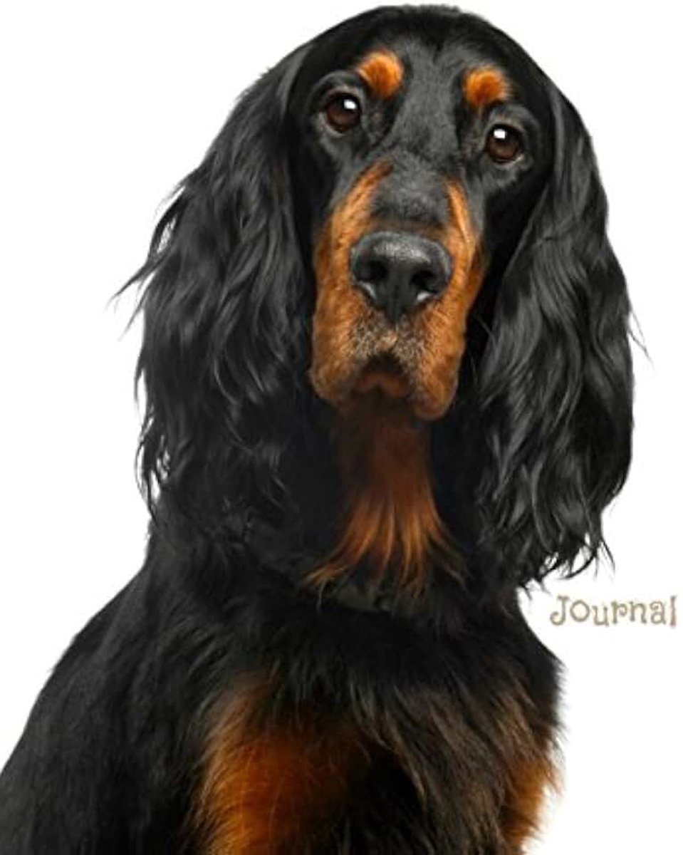 Journal: Gordon Setter
