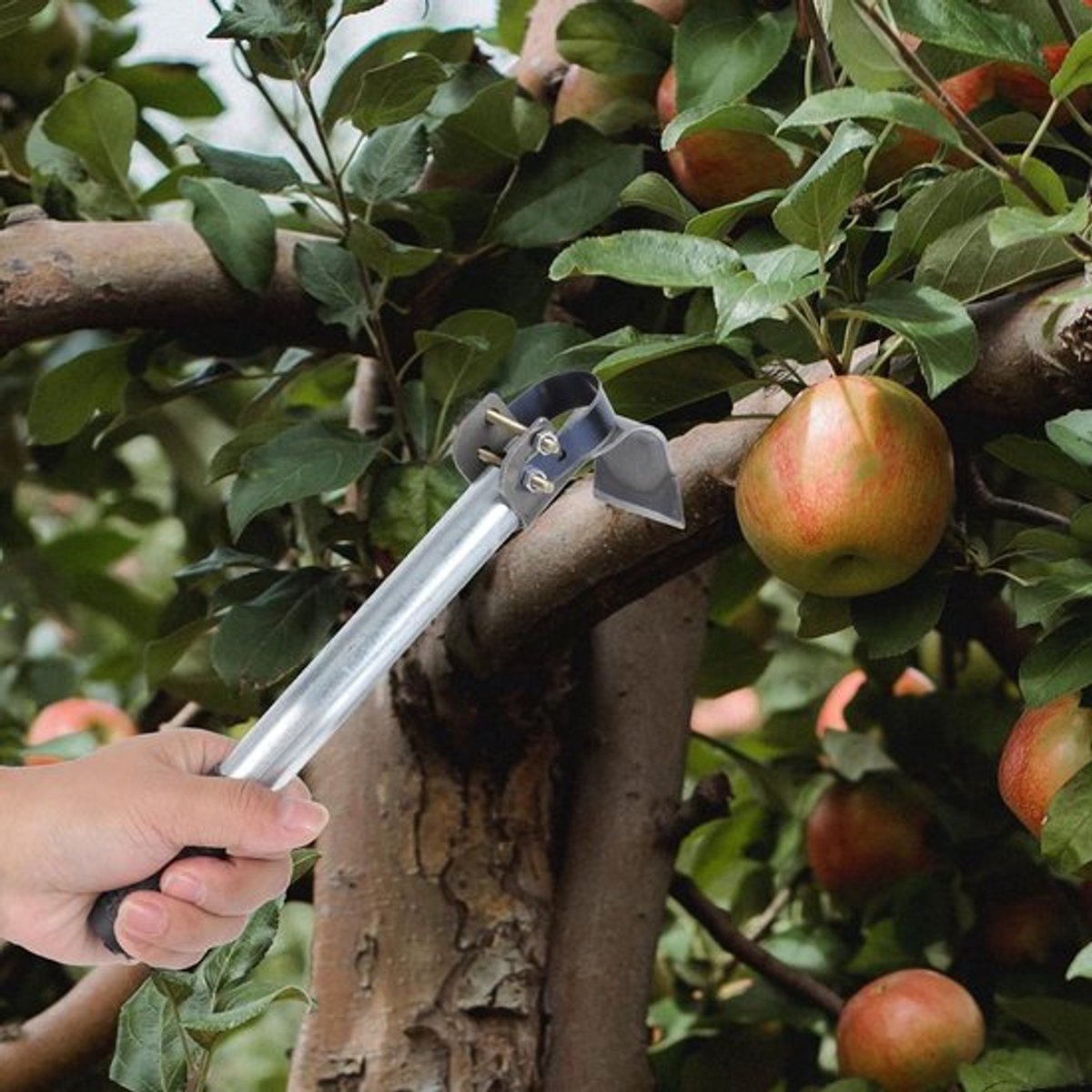 Roestvrij Stalen Schiller voor Tuin - Nageltrekker en Schorsschraper