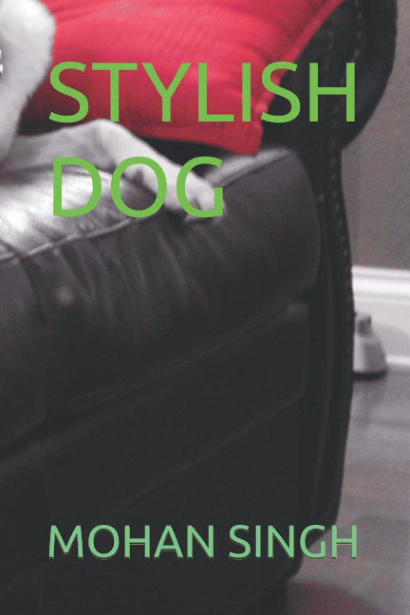 STYLISH DOG