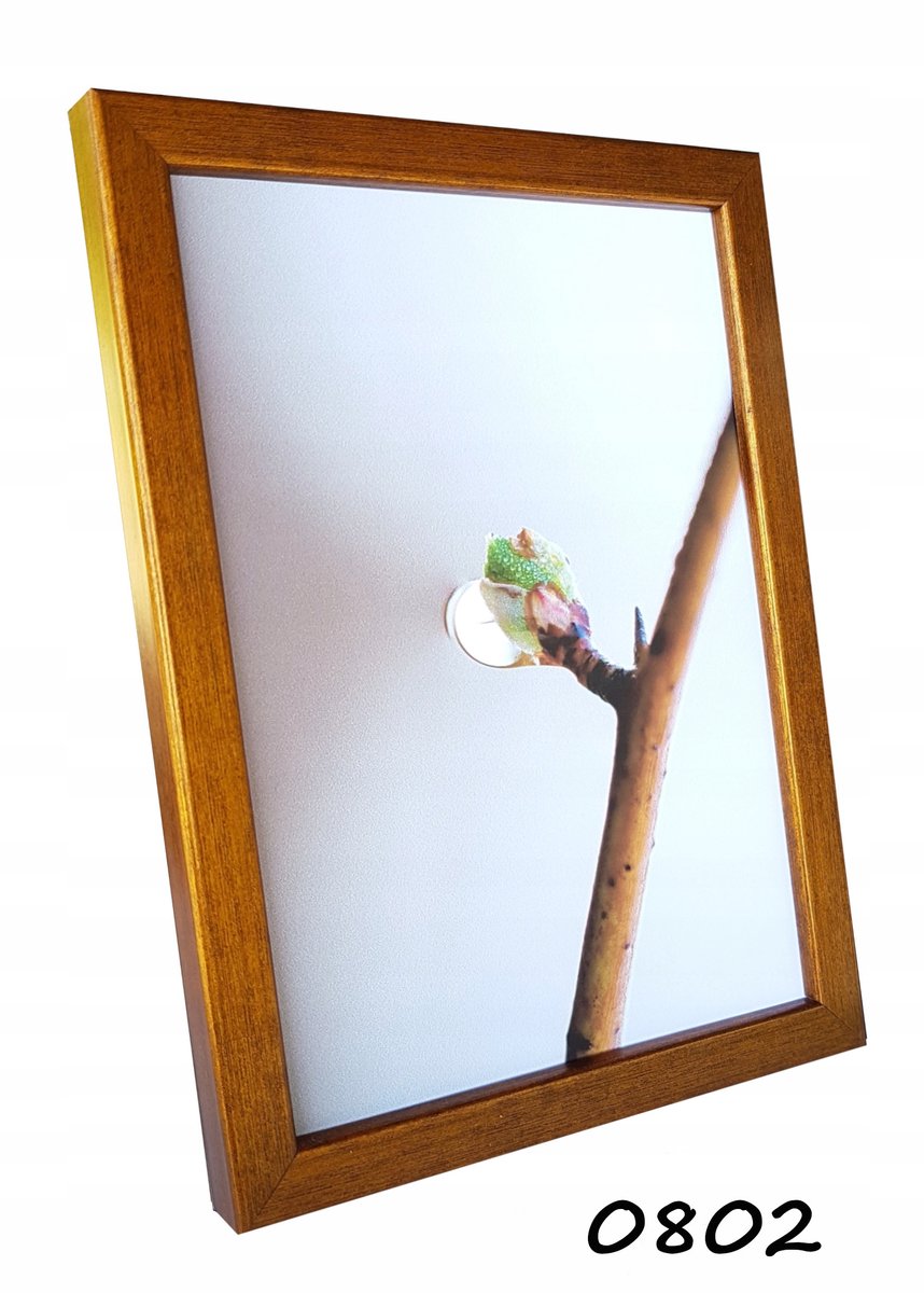 Houten Fotolijst 20x25 cm IZA - Stijlvol Decoratie