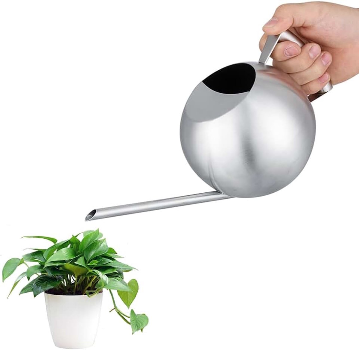 Gieter voor kamerplanten, 1000 ml, metalen gieter met lange schenktuit, gieter voor binnen, voor buitenplanten, voor binnen, huis, tuin