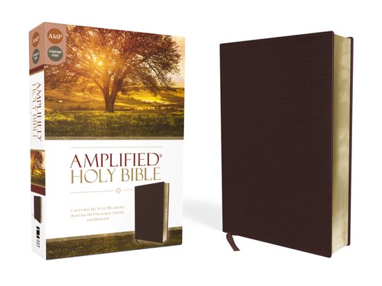 De Amplified Holy Bible, met standaard druk, in een bruin omslag met een gouden bladzijde en een leeslint.