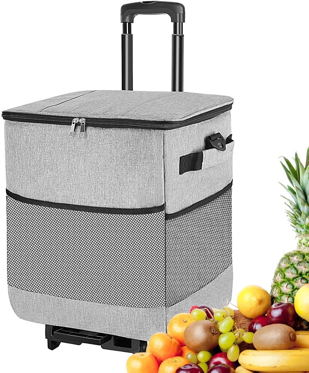 Koelbox met wielen - Reiskoelbox opvouwbaar - Picknick en reizen - Ruime opslagcapaciteit - 35 liter - Grijs