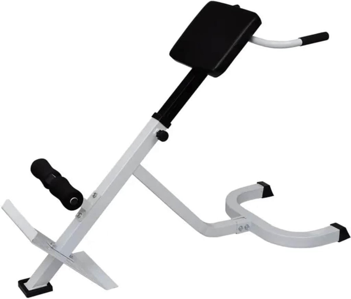 Rugspierbank - Trainingsbank - Rugspieren Trainen - Verstelbare Hoogtes - Max 100 kg - Zwart