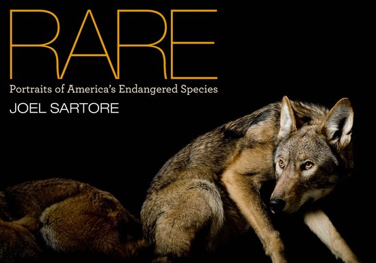 Rare - cover