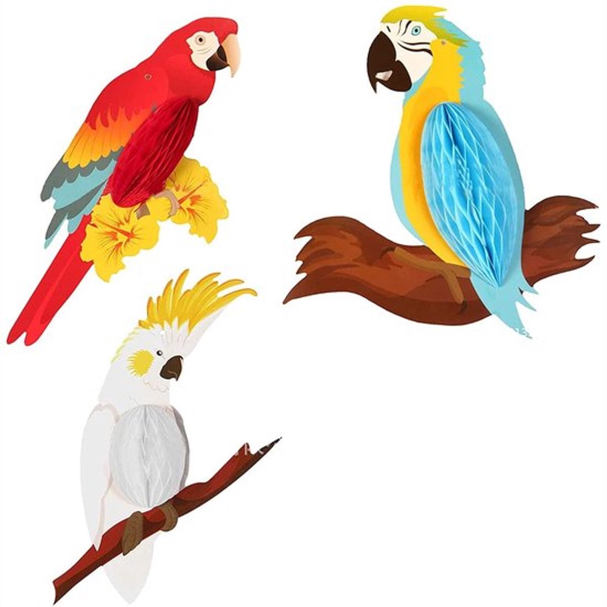 Allecto - Tropische Vogels Decoratie - Honingraat Papegaai